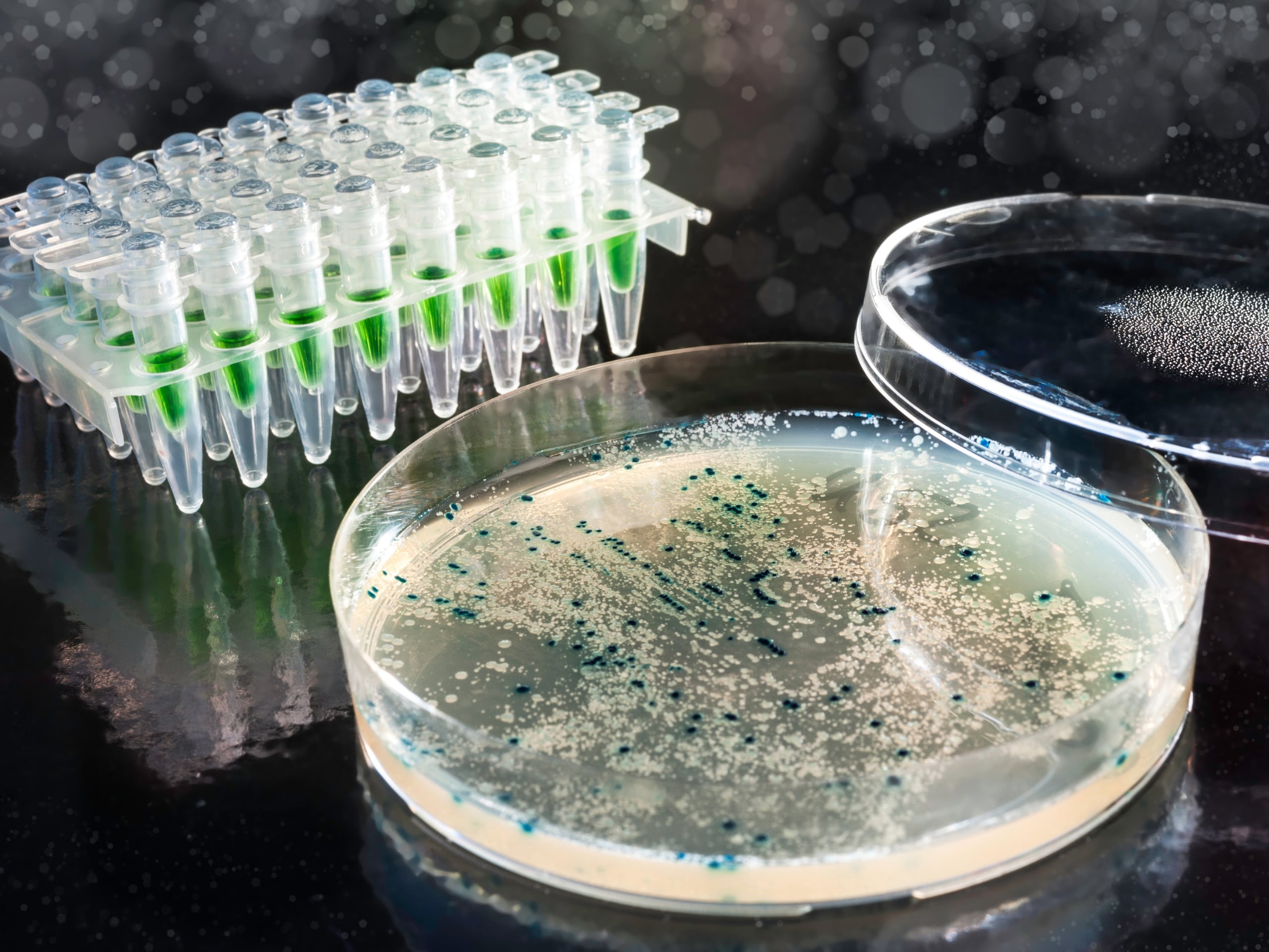 API Onshoring in the Pharmaceutical Industry