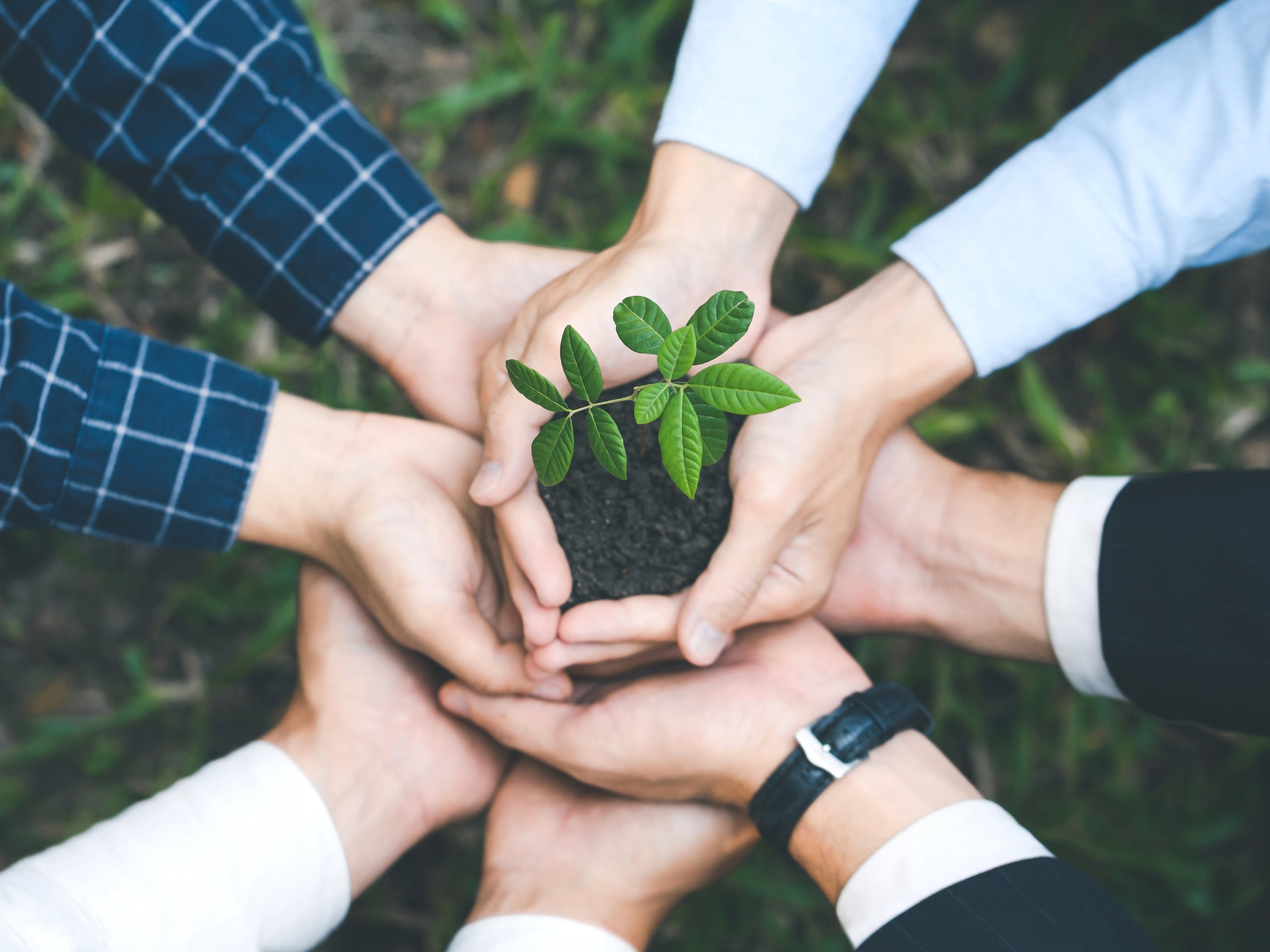 How Generics Leaders Are Driving ESG Impact